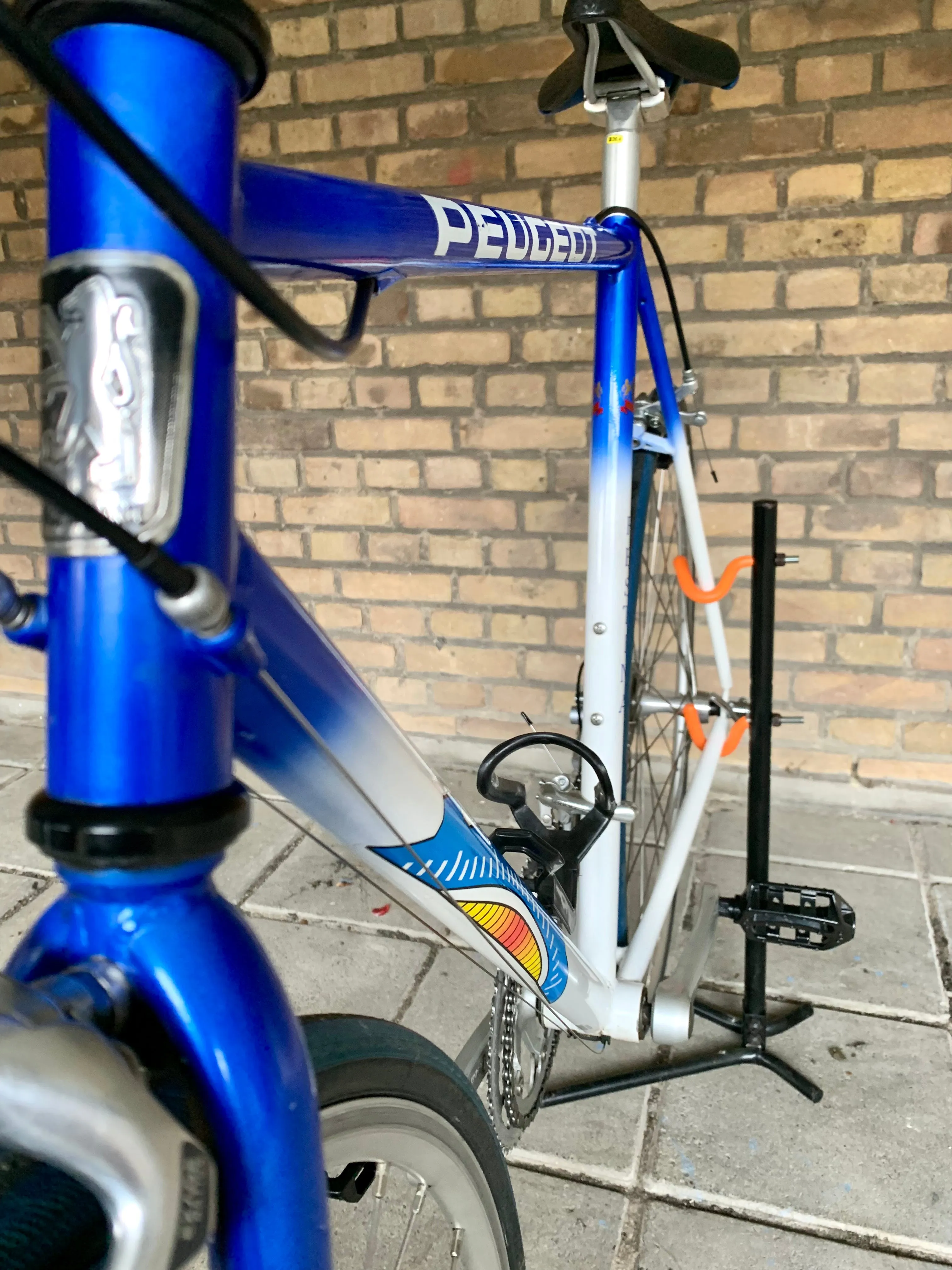 1998 Peugeot Team Festina Replica 56cm Shimano RSX