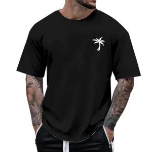 Alalaso Mens T-Shirts Short Sleeve Crew Neck Shirts Casual Loose Fit Tops Athletic Quick Dry Active Tee Shirts for Men