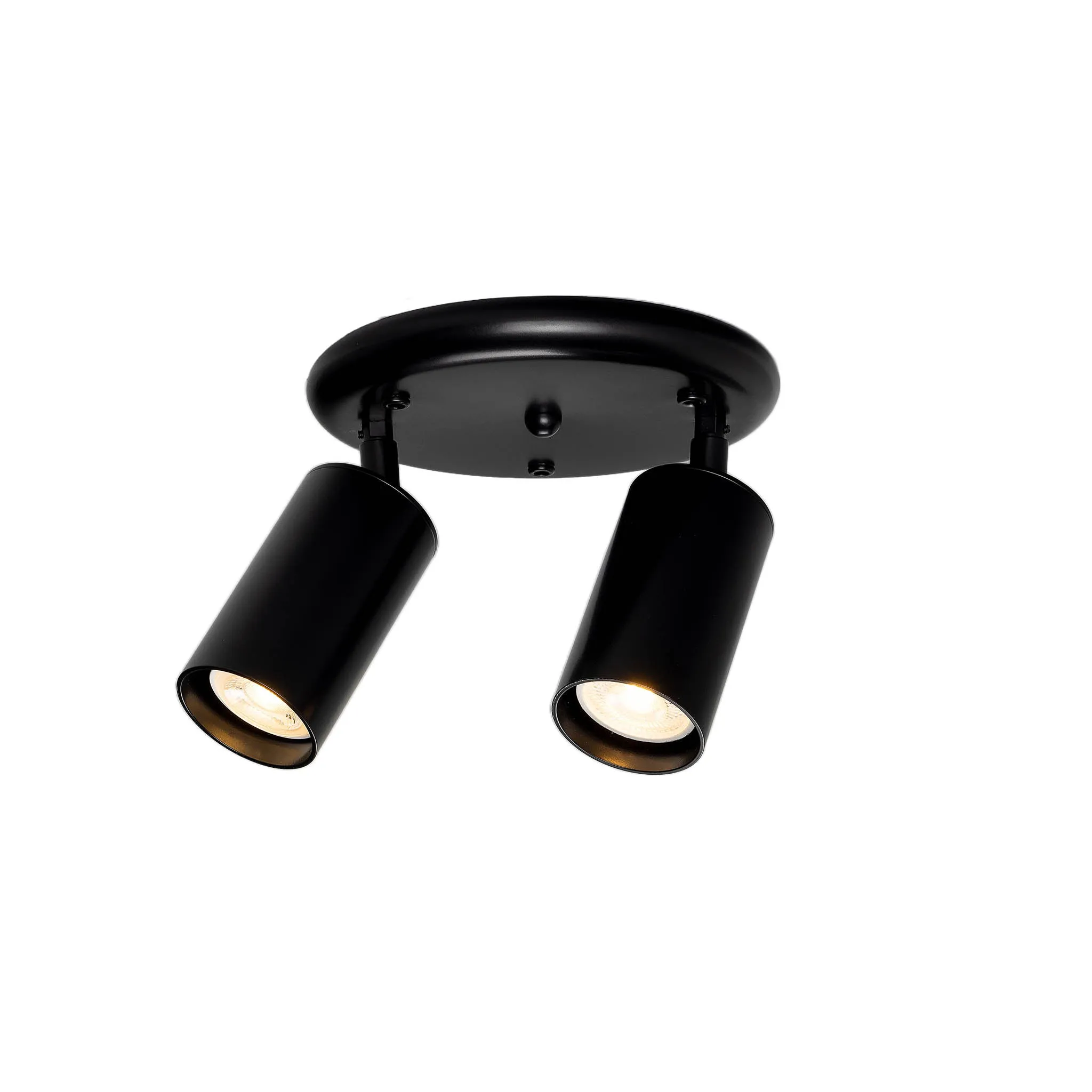 Evanston brass 2-spotlight | satin brass
