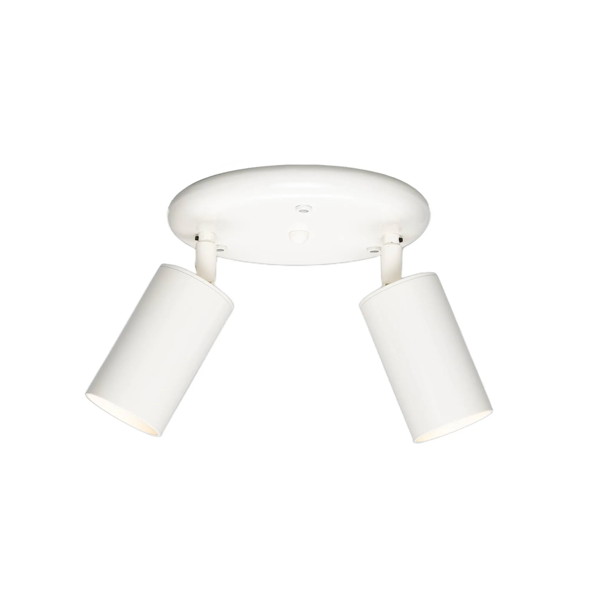 Evanston brass 2-spotlight | satin brass
