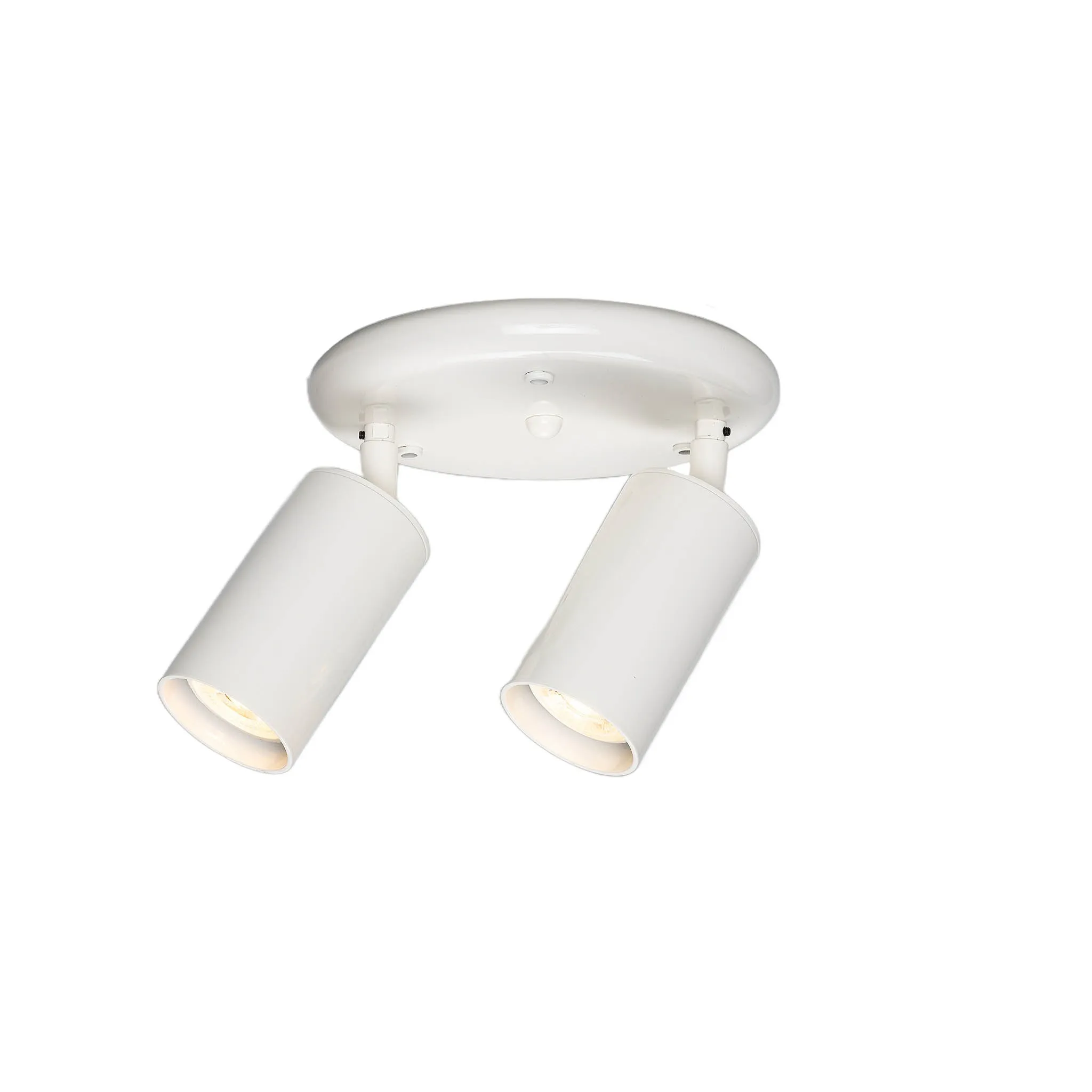 Evanston brass 2-spotlight | satin brass
