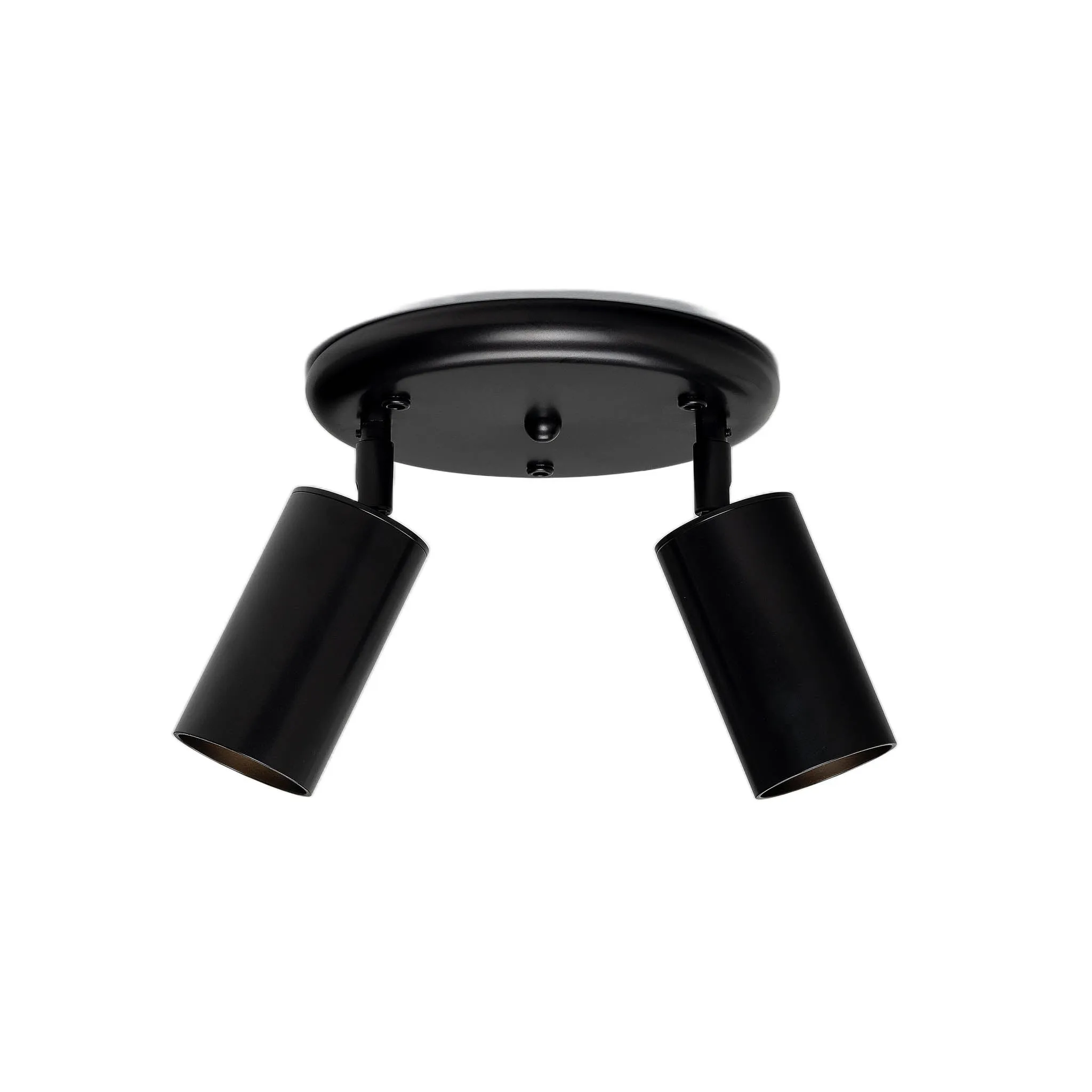 Evanston brass 2-spotlight | satin brass