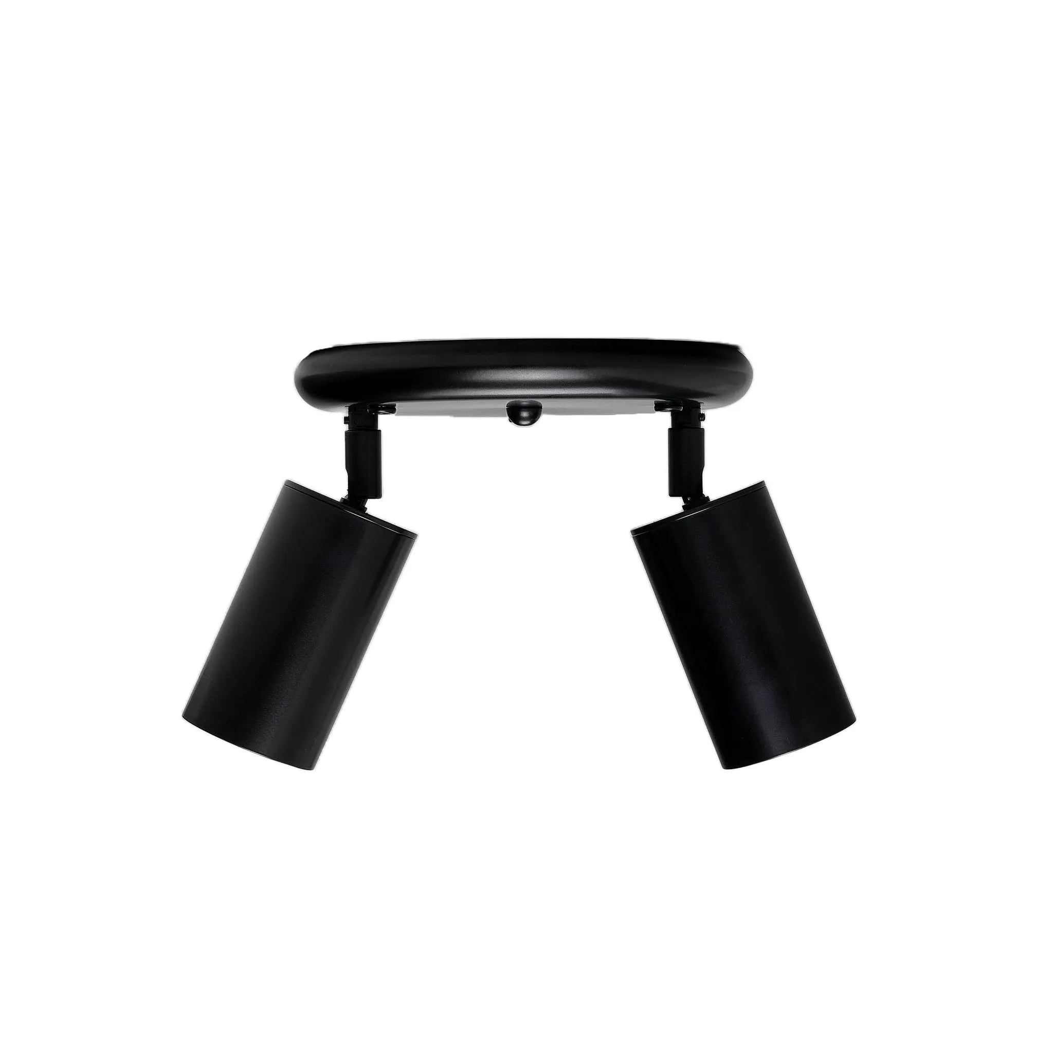 Evanston brass 2-spotlight | satin brass
