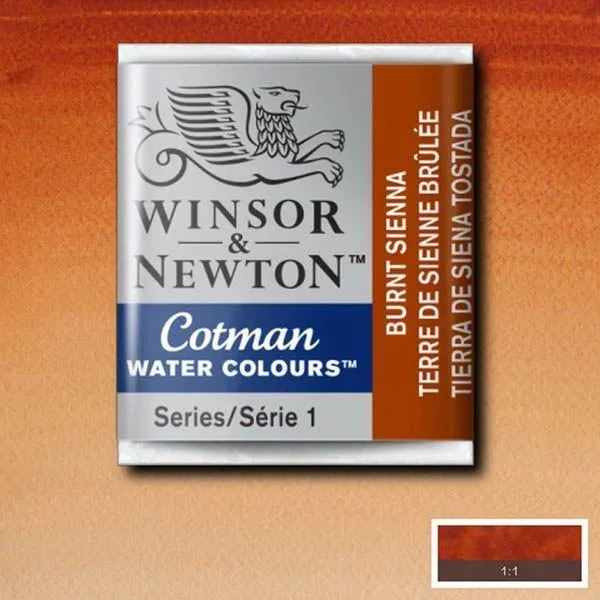 Pastilla acuarela cotman Winsor & newton 1/2 godet ud